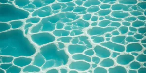 Algue blanche piscine : causes et traitement