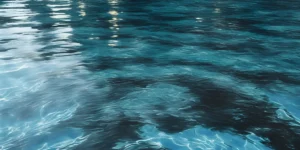 Algues noires piscine : traitement et prévention